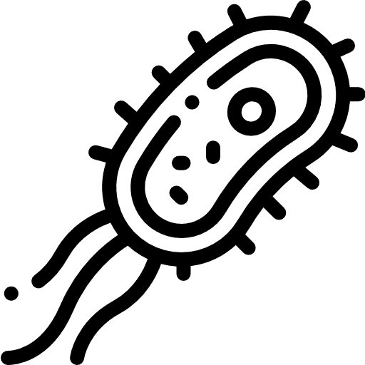 bacterias