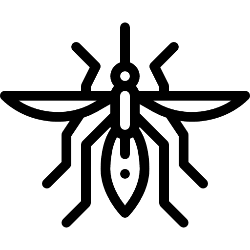 mosquito